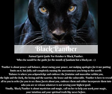 Facing Fear: The Symbolism of a Black Panther in a Dream